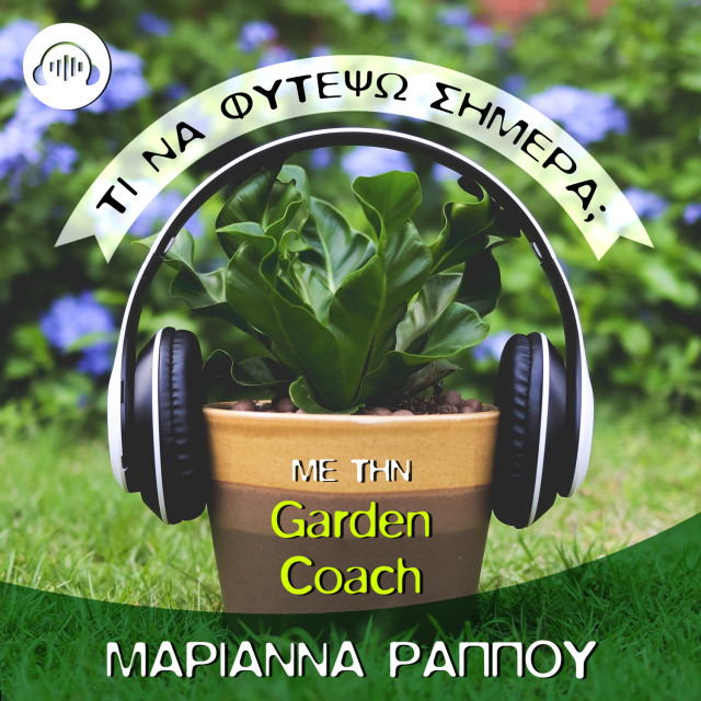 The plant podcast: Τι να φυτέψω σήμερα; με την Garden Coach Μαριάννα Ράππου
